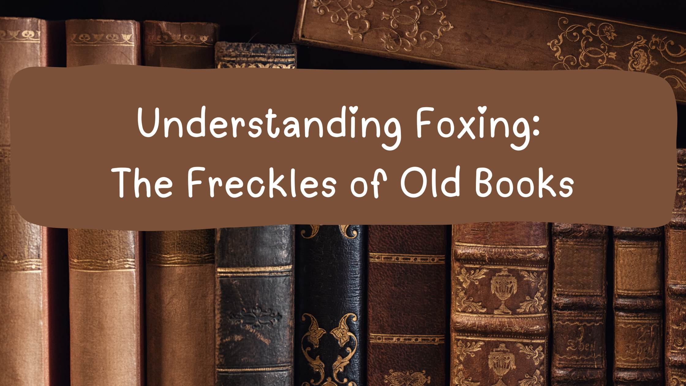 Understanding Foxing: The Freckles of Old Books