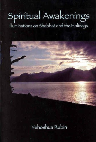 Spiritual Awakenings: Illuminations on Shabbat and the Holidays