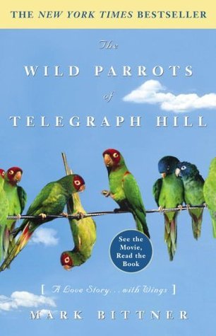 The Wild Parrots of Telegraph Hill Mark Bittner Like a lot of young people in the 1970s, Mark Bittner took the path of the "dharma bum." When the counterculture faded, Mark held on, seeking shelter in the nooks and crannies of San Francisco's fabled bohem