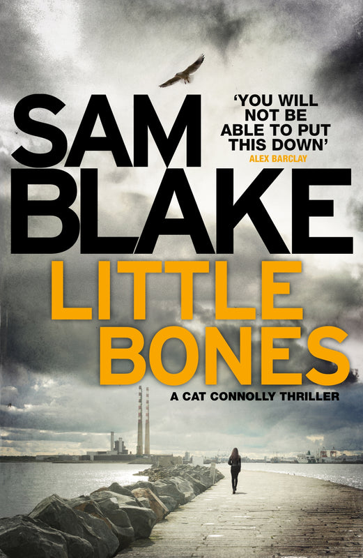 Little Bones (Cathy Connolly #1) Sam Blake Twenty-four-year-old Garda Cathy Connolly might be a fearless kick-boxing champion but when she discovers a baby's bones concealed in the hem of a wedding dress, the case becomes personal.For artist Zoe Grant, th