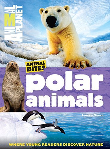 Animal Bites: Polar Animals
