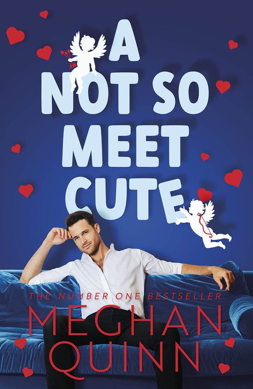 A Not So Meet Cute (Cane Brothers #1)