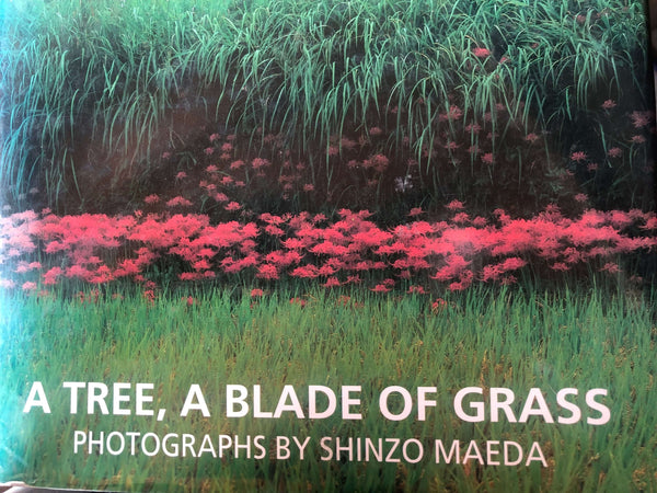 A Tree, A Blade of Grass Photographs by Shinzo Maeda