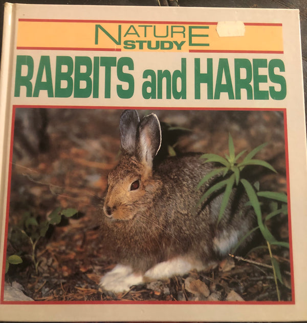 Rabbits and Hares Nature Study Annie Smith August 31, 1989 by Hodder & Stoughton Childrens Division