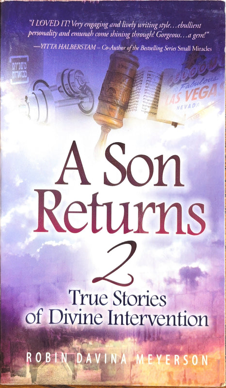 A Son Returns 2: True Stories of Serendipity and Divine Intervention