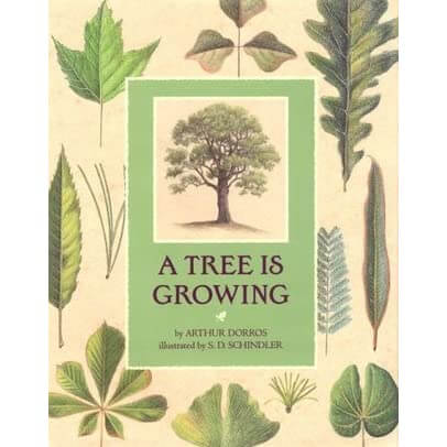 A Tree is Growing Arthur DorrosTells about the structure of trees and how they grow, as well as their uses.