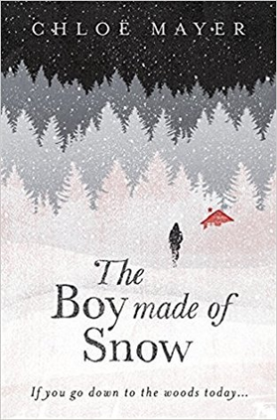 The Boy Made of Snow - Eva's Used Books